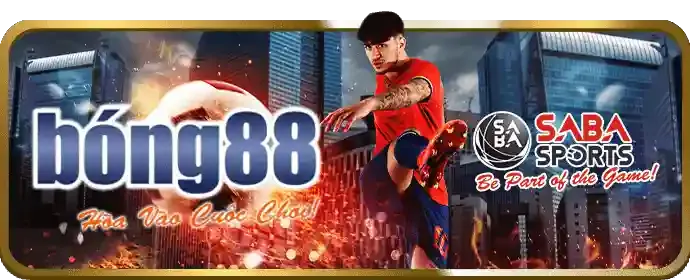 Hoàn Trả Cao Hơn